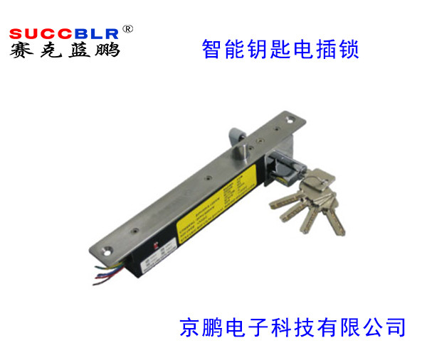 【智能鑰匙型電插鎖】賽克藍鵬SUCCBLR智能鑰匙型電插鎖SL-S203DW